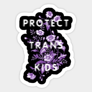 Protect Trans Kids #5 Sticker